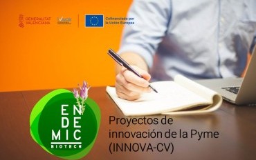 Proyectos de innovación de Pyme (INNOVA-CV)