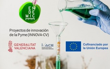 Nuevo proyecto de innovación de la Pyme (INNOVA-CV)